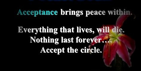 Acceptance brings Peace