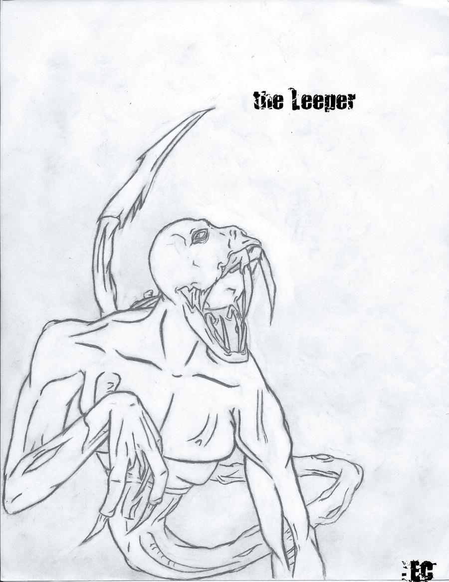 the Leeper -Memory Sketch-