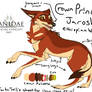 Prince Jarosh - Ethiopian Wolf