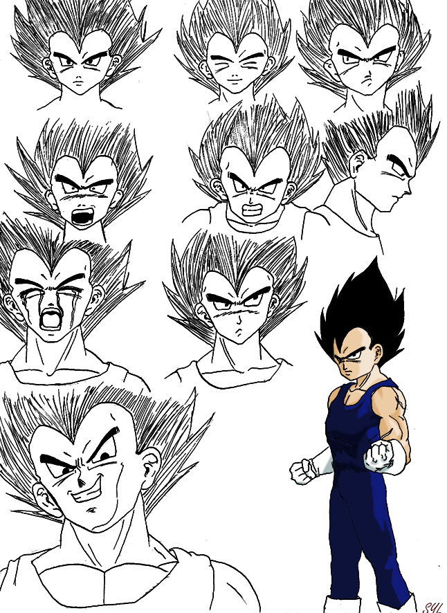 Vegeta sketches 2