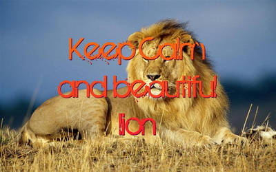 Banner, Keep Calm and beautiful lion