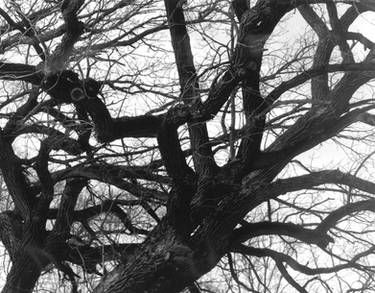 Explore the Best Spindly Art | DeviantArt