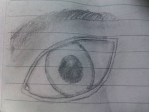 Eye