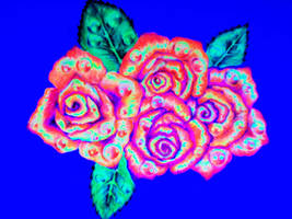 Black light roses