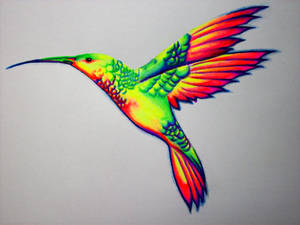 Hummingbird