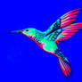 Hummingbird (under blacklight)