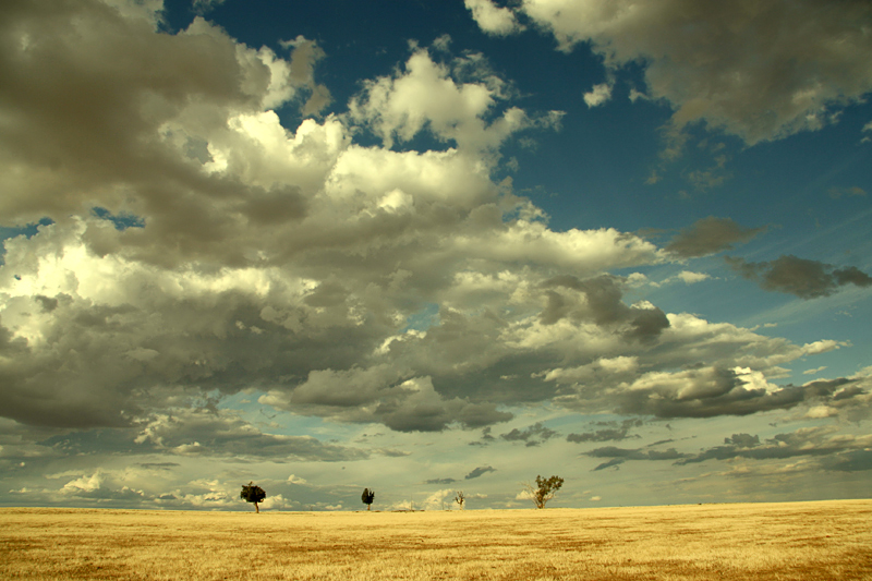 Where the Sky meets the Earth.