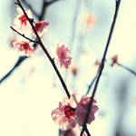 My spring. by incredi