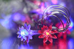 Colors of joy. by incredi