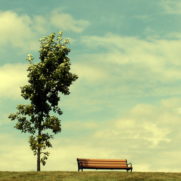 Bench with a view.