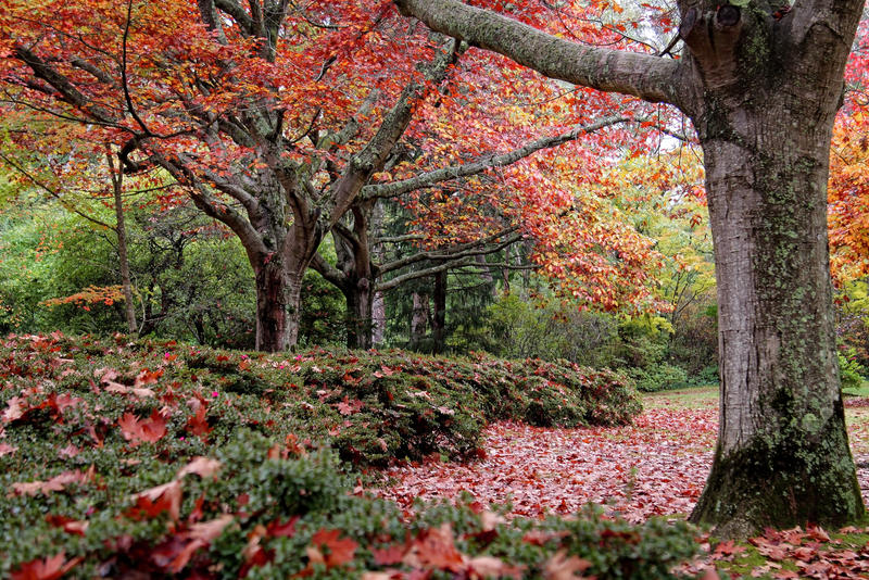 Autumn moods