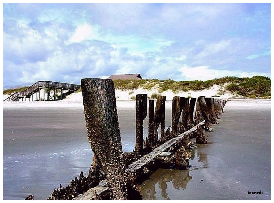 Folly Beach