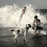 Don't be scared,doggy...