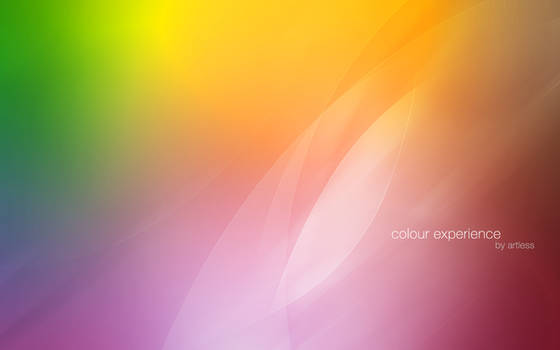 colour experience