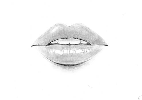 Lip Study #1