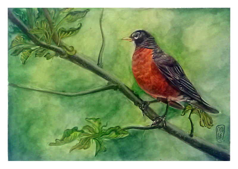Watercolour. The bird on the branch. by milesboard