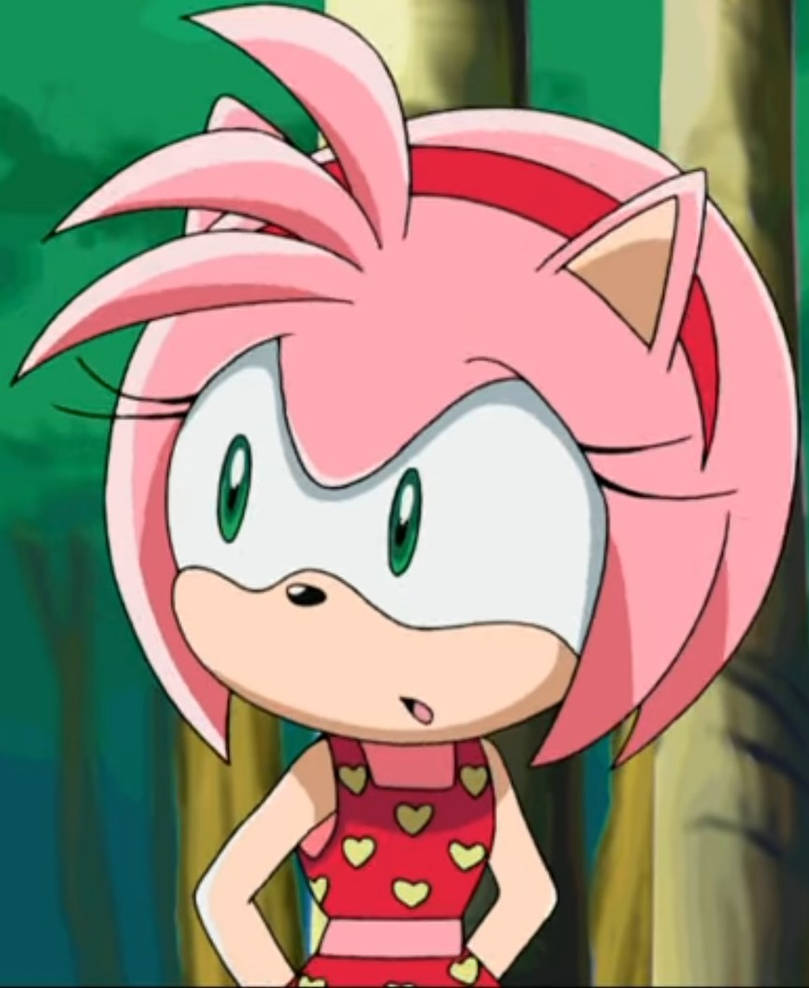 Amy Rose in her swimsuit 23 by Ironmew05 on DeviantArt