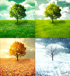 The Four Seasons - Vivaldi by IrvingGFM