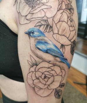 Blue bird