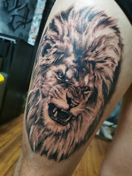 Lion tattoo