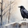 crow