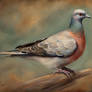 passenger pigeon