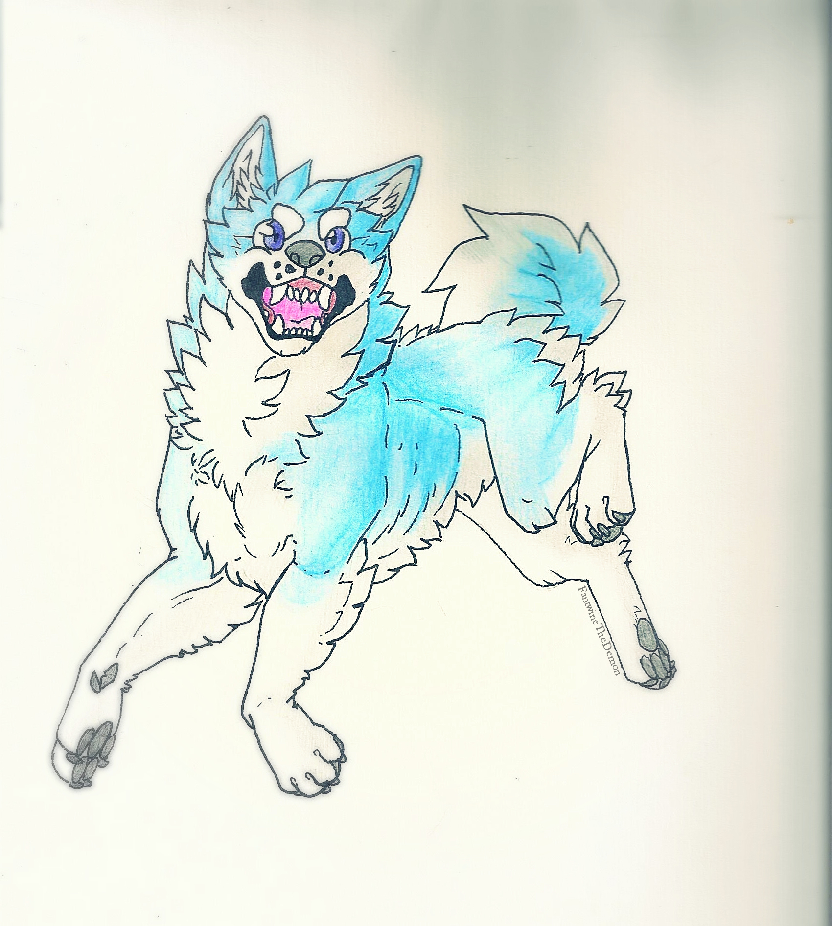 Jumpy blue dog