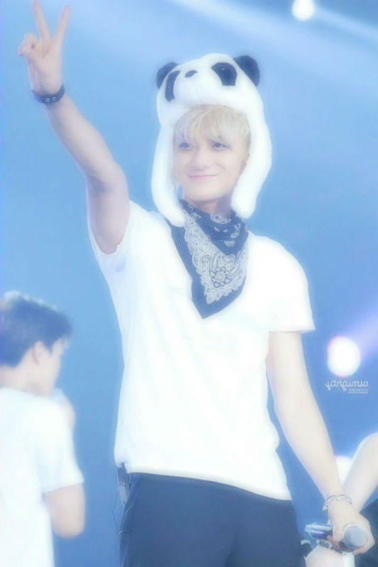 Tao Panda EXO by LythiaryloveLuhan on DeviantArt