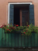 Venice _Lovely window by chetje