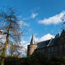 Castle with trees