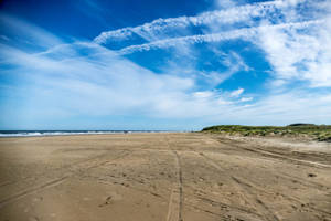 Schoorl by the sea North Holland