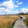 The Great Peel National Park - Ospel