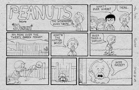 shaun of the peanuts