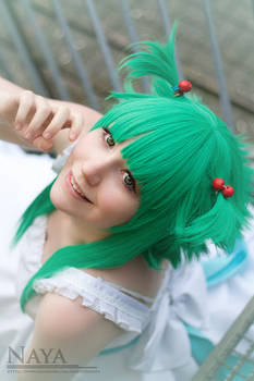 Little Gumi