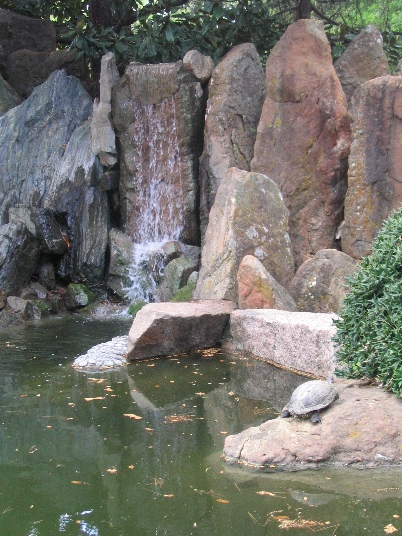 rock.pond 2