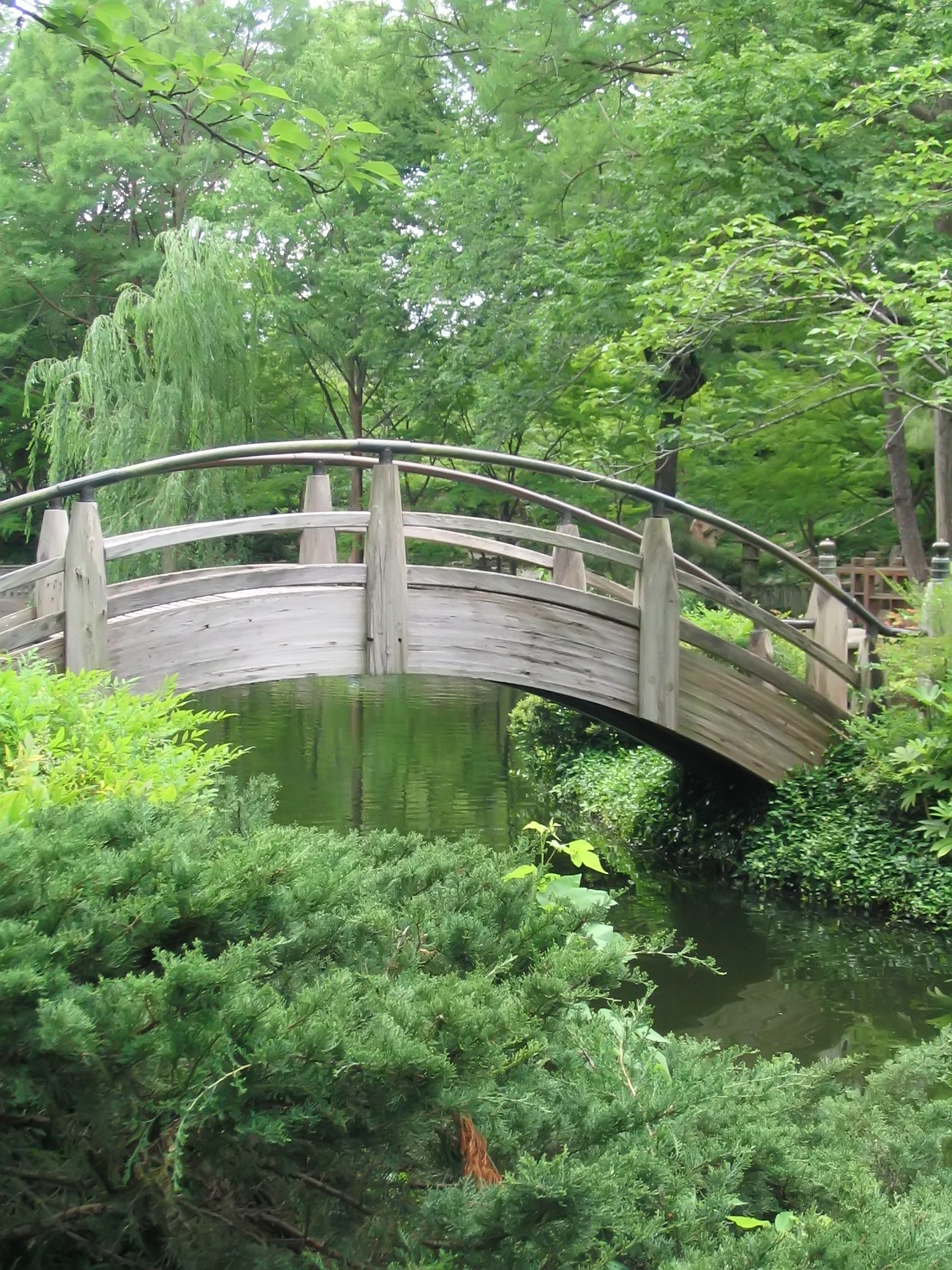 Japanese Garden Bridge