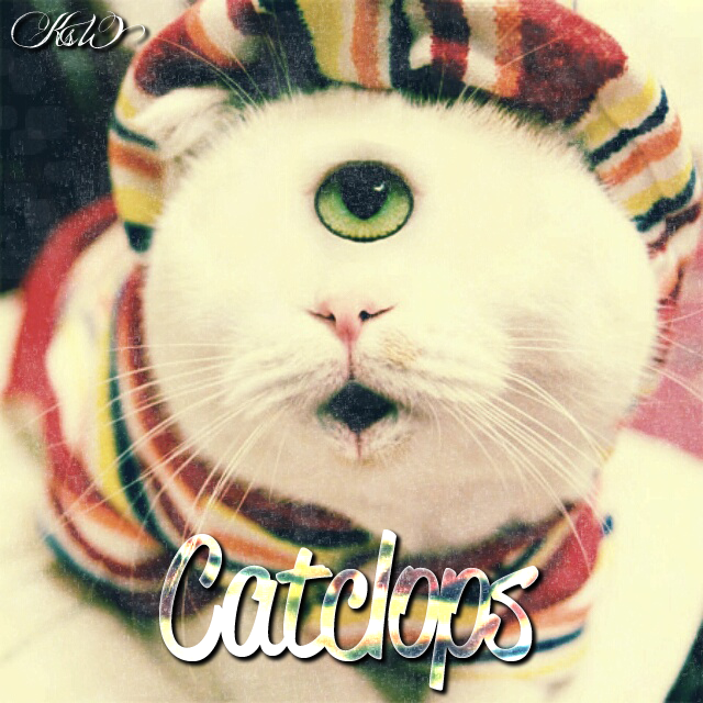 Catclops