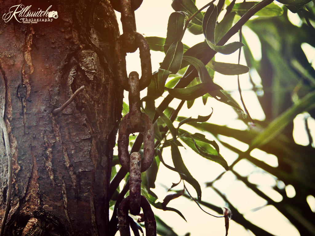 Chained tree by killswitch90 on DeviantArt