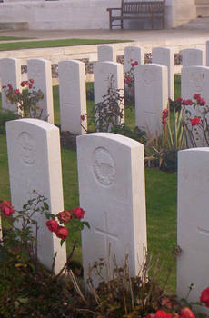 remember us: english cemetery.