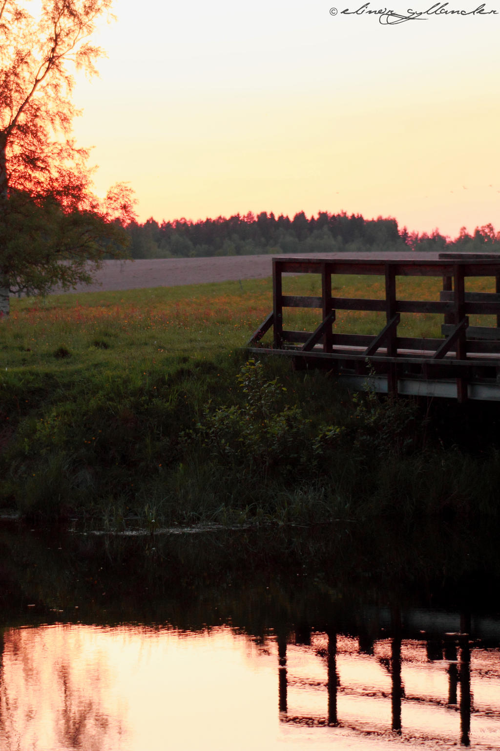 Sundown summer breeze