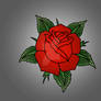 red rose