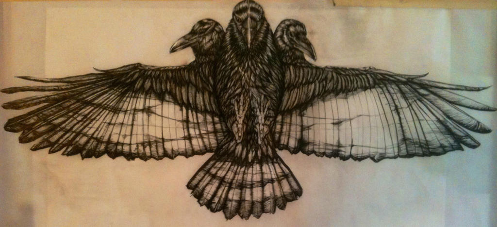 Trinity raven by stevenrobertcook on DeviantArt