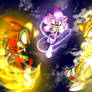 |S.Sonic And F.Skyfire Vs Black Rose Sonic|