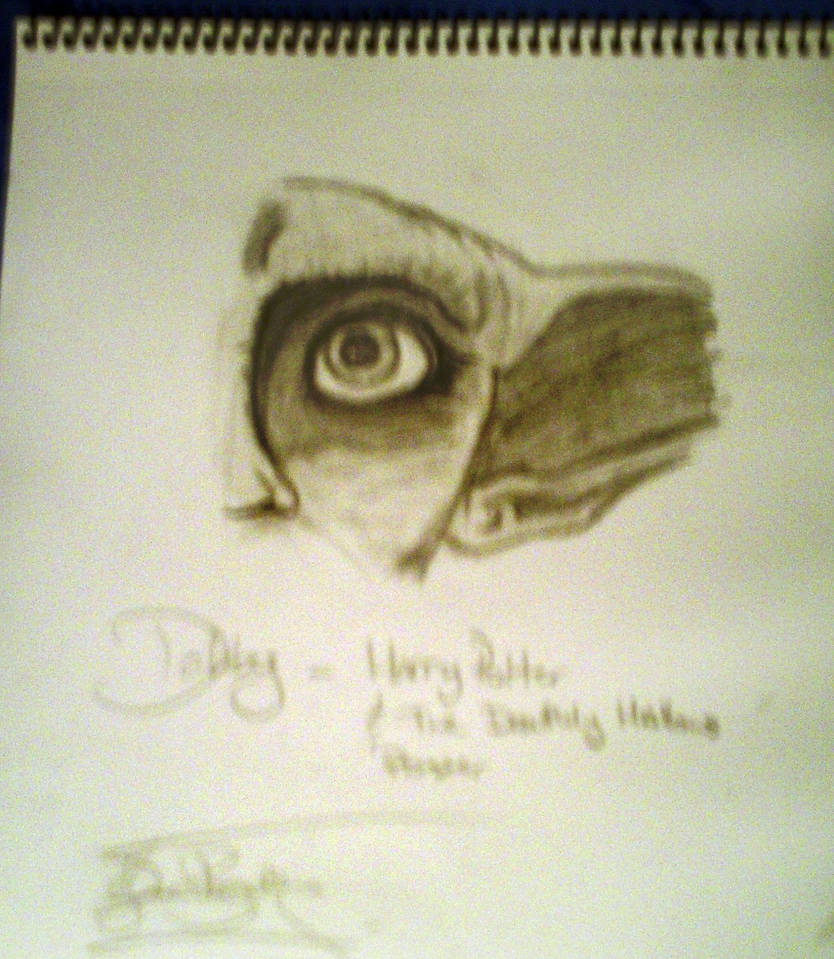 Dobby Poster by GaGaGomezCyrus on DeviantArt