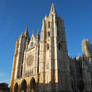 Catedral Leon