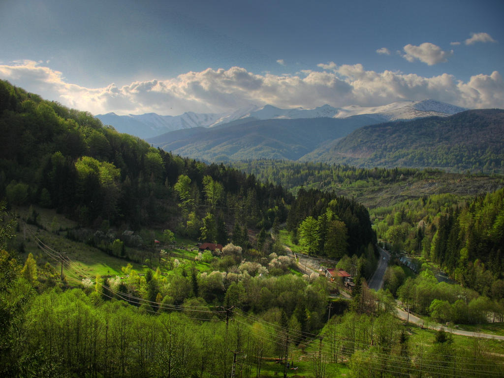 The Green Valley of Joy