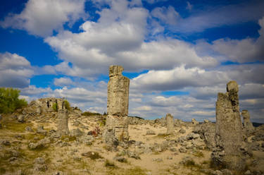 The Stone Forest BG