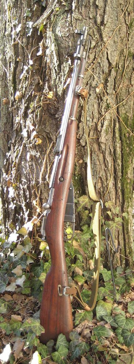 Type 53 In The Vines