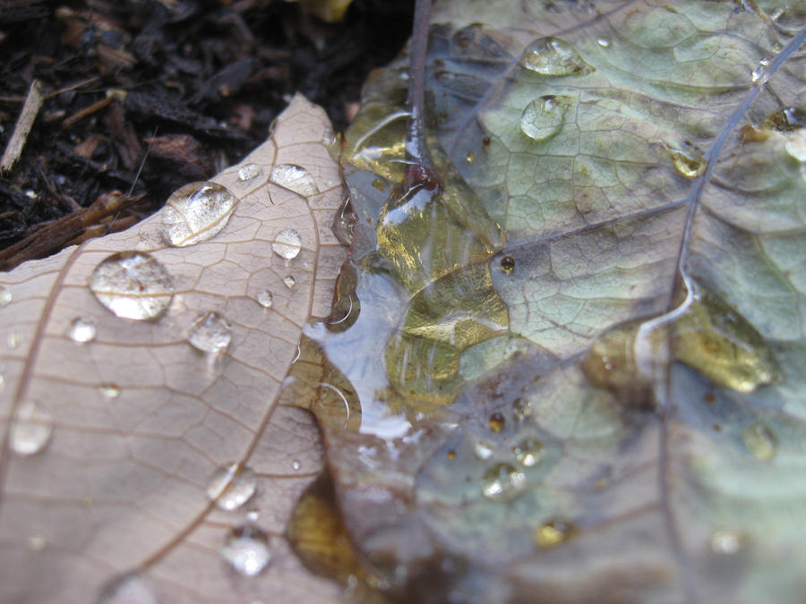 suddenly awake by desolationangels on DeviantArt