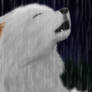 Howling in the Rain